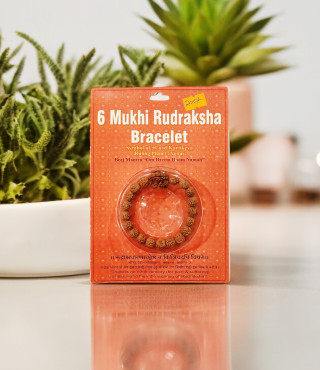 6 Mukhi Rudraksha Bracelet 6 Mukhi Rudraksha Bracelet