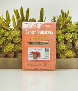 Ganesh Rudraksha Ganesh Rudraksha