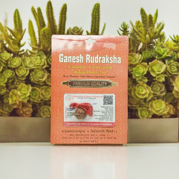 Ganesh Rudraksha Ganesh Rudraksha