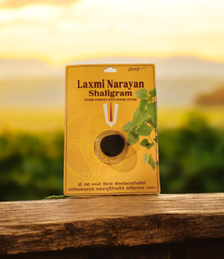 Laxmi Narayan Shaligram Laxmi Narayan Shaligram