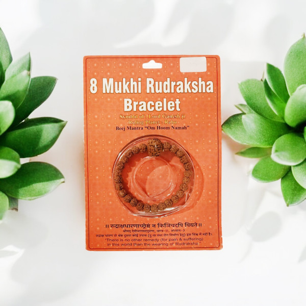 8 Mukhi Rudraksha Bracelet 8 Mukhi Rudraksha Bracelet