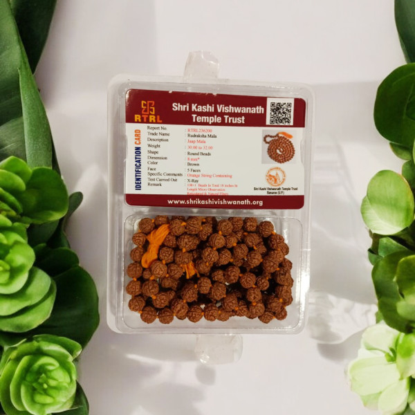 Rudraksha Mala Matured Bead 8 Mm - Chikana Mala Rudraksha Mala Matured Bead 8 Mm - Chikana Mala