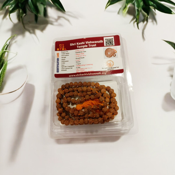 Rudraksha Mala Matured Bead 6 Mm - Chikana Mala Rudraksha Mala Matured Bead 6 Mm - Chikana Mala