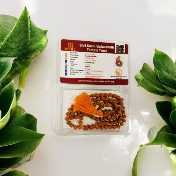 Rudraksha Mala Matured Bead 5 Mm - Chikana Mala Rudraksha Mala Matured Bead 5 Mm - Chikana Mala