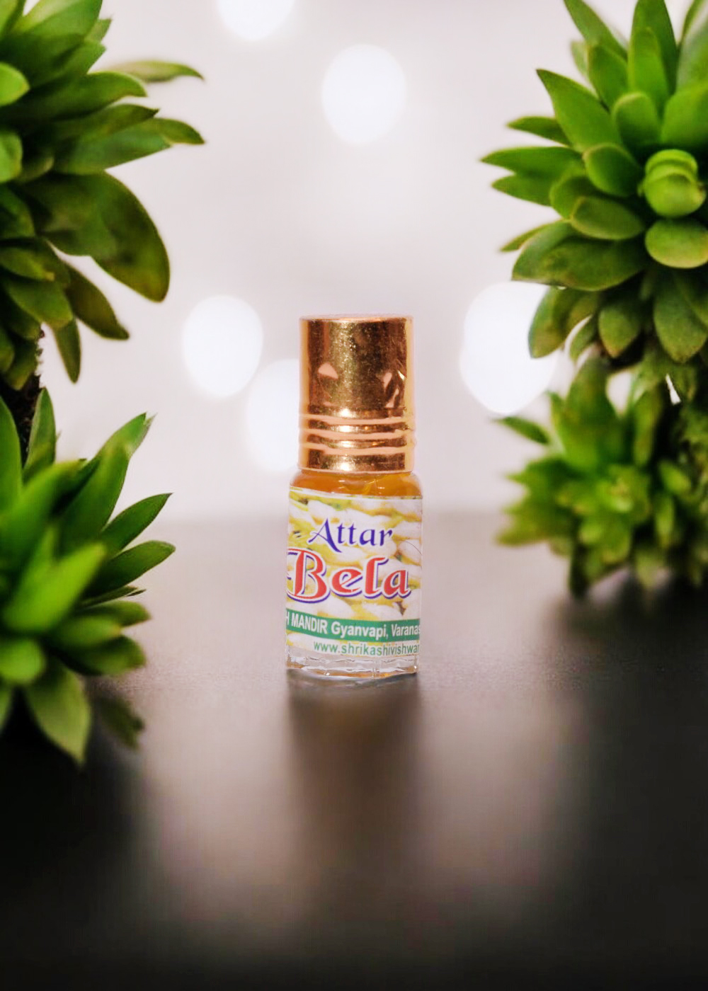  Attar Bela