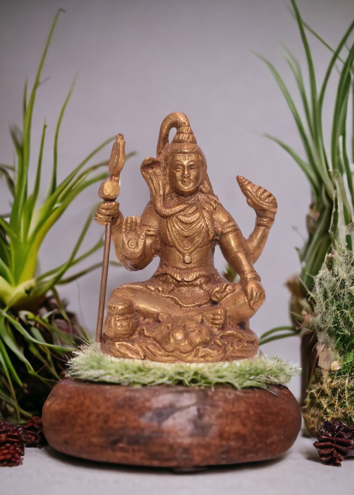 Brass Shiv Ji Medium