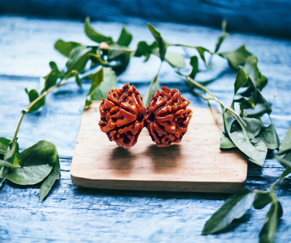 Gauri Shankar Rudraksha