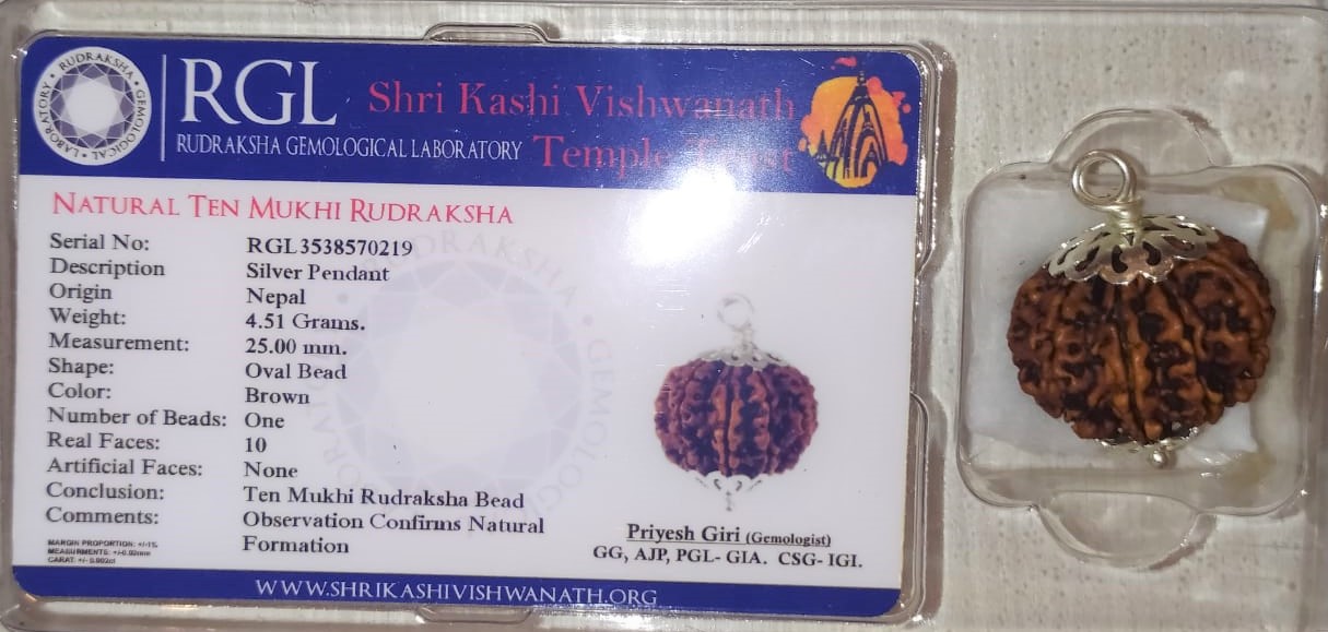 Silver Ten Mukhi Rudraksha Pendant