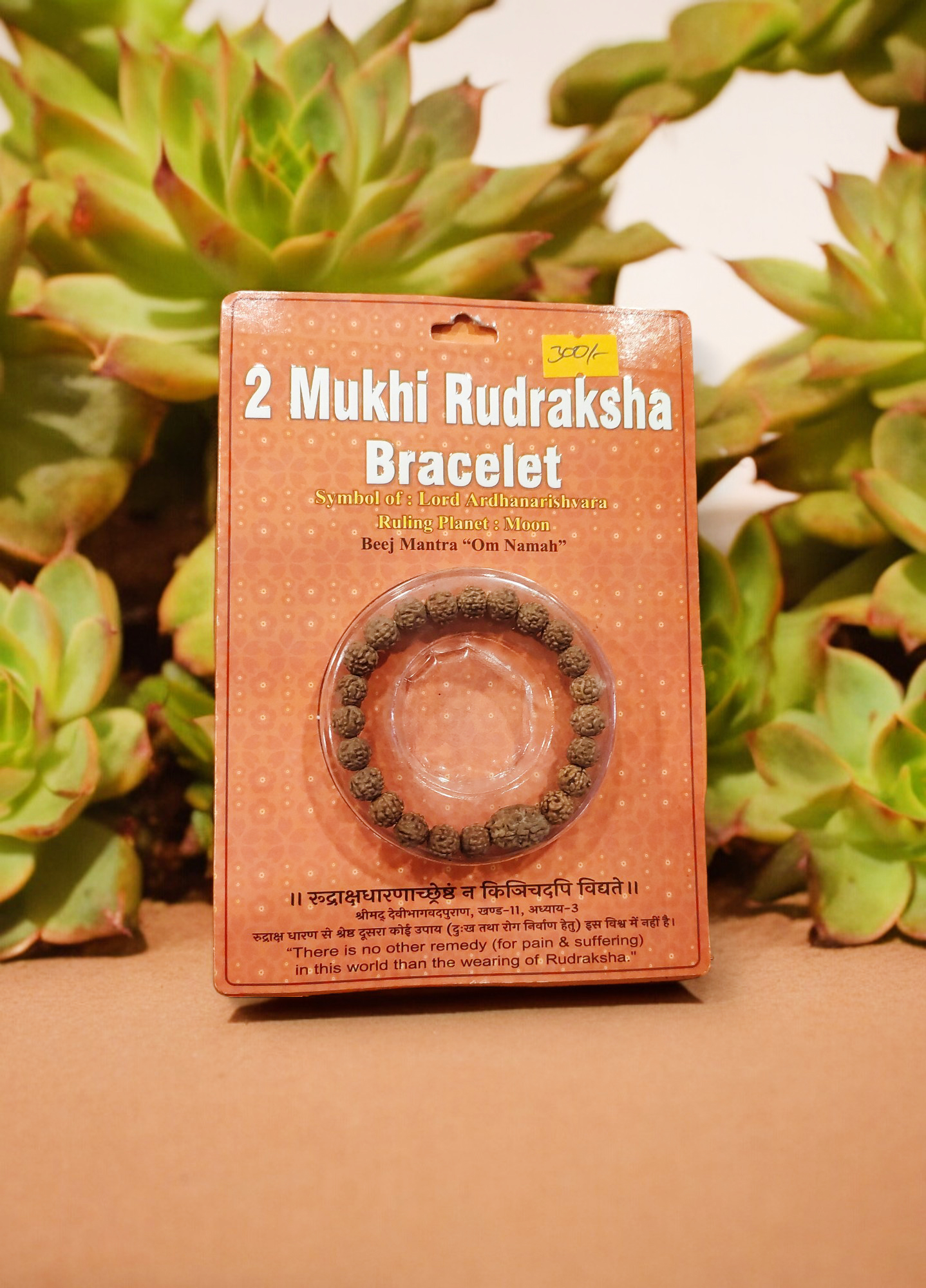 2 Mukhi Rudraksha Bracelet