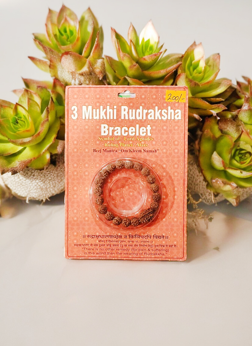 3 Mukhi Rudraksha Bracelet