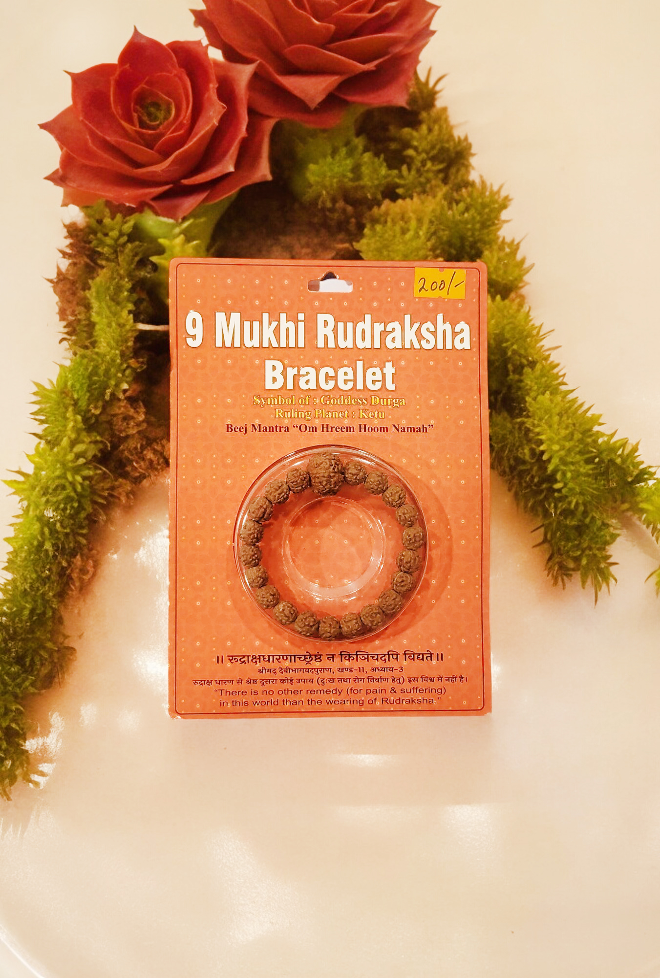 9 Mukhi Rudraksha Bracelet