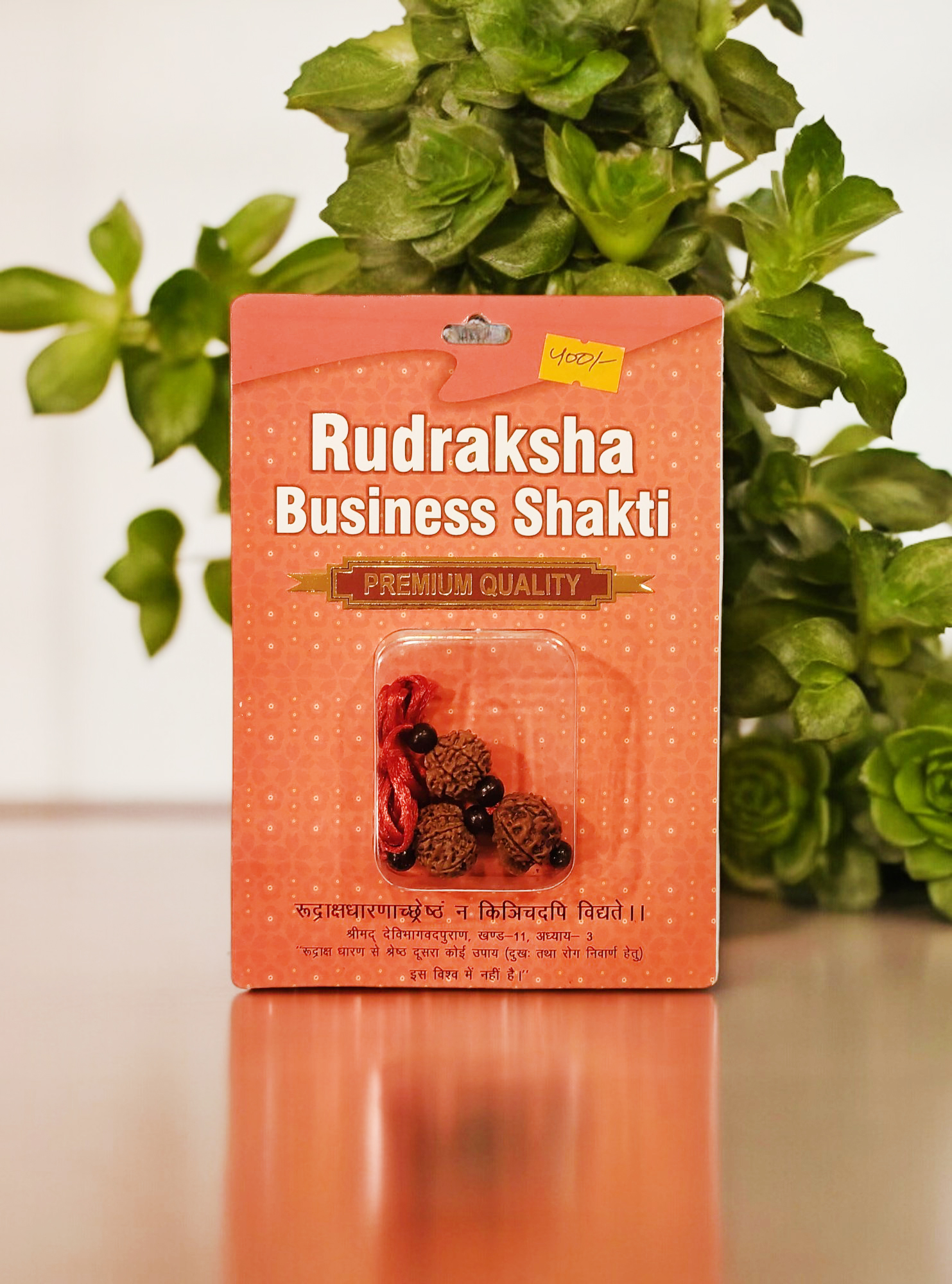 Rudraksha Business Shakti