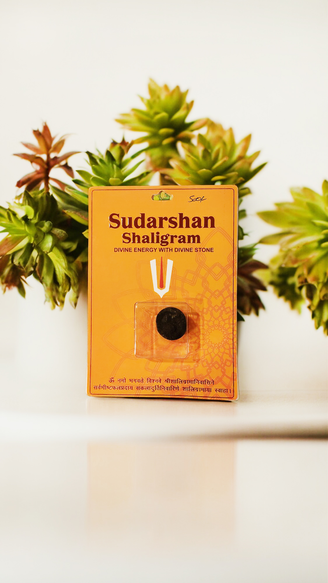 Sudarshan Shaligram