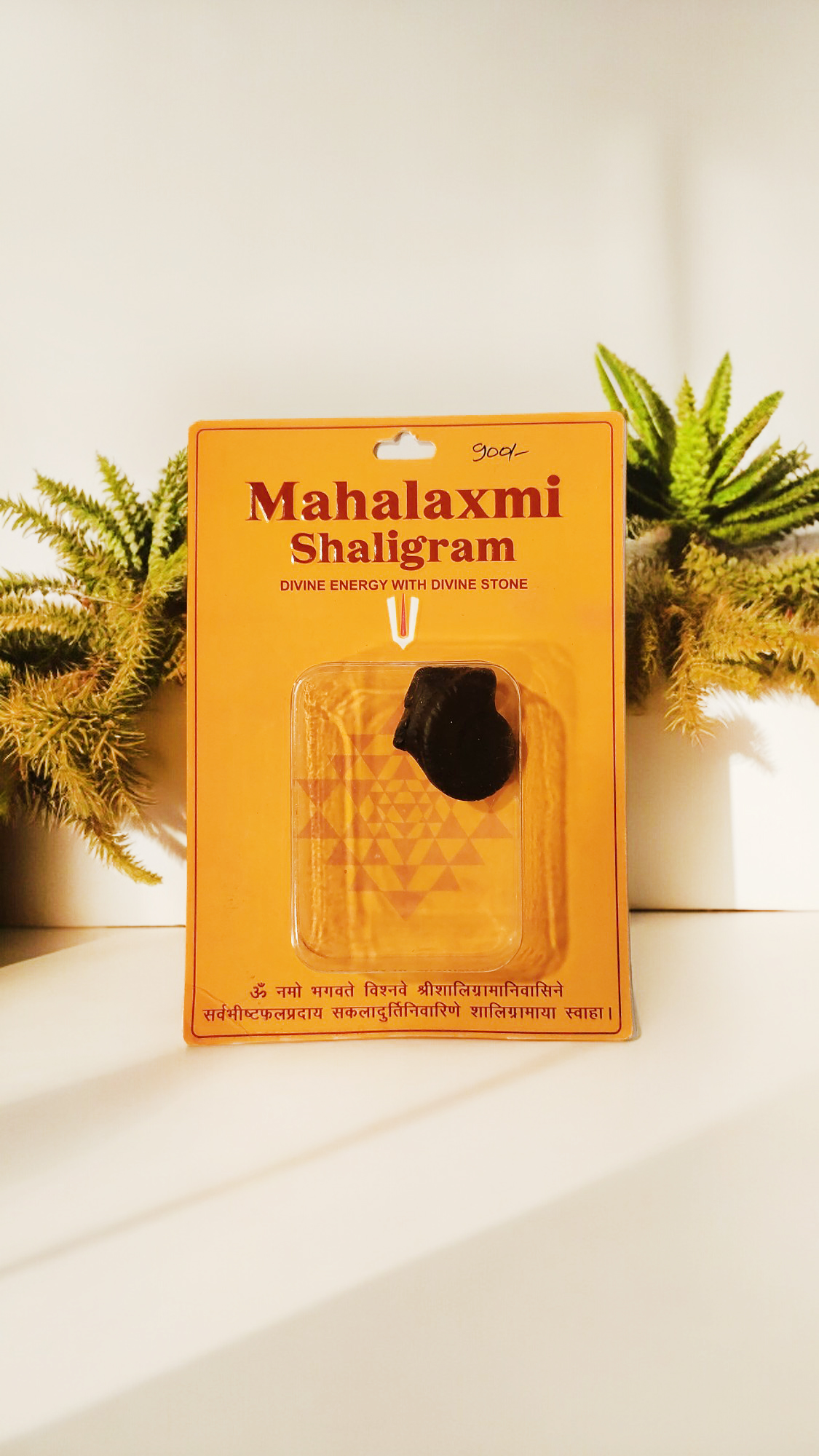 Mahalaxmi Shaligram