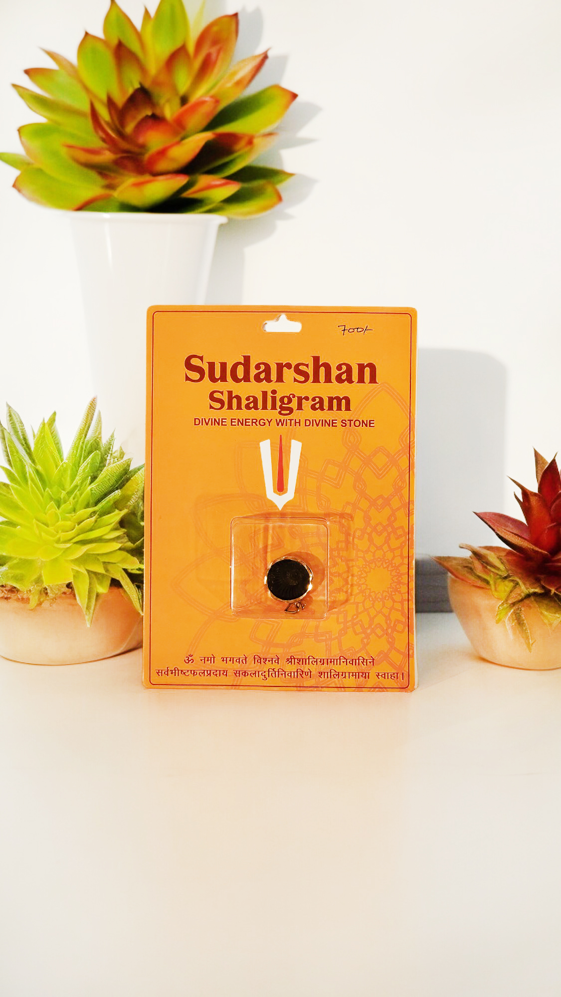 Sudarshan Shaligram With Pendent