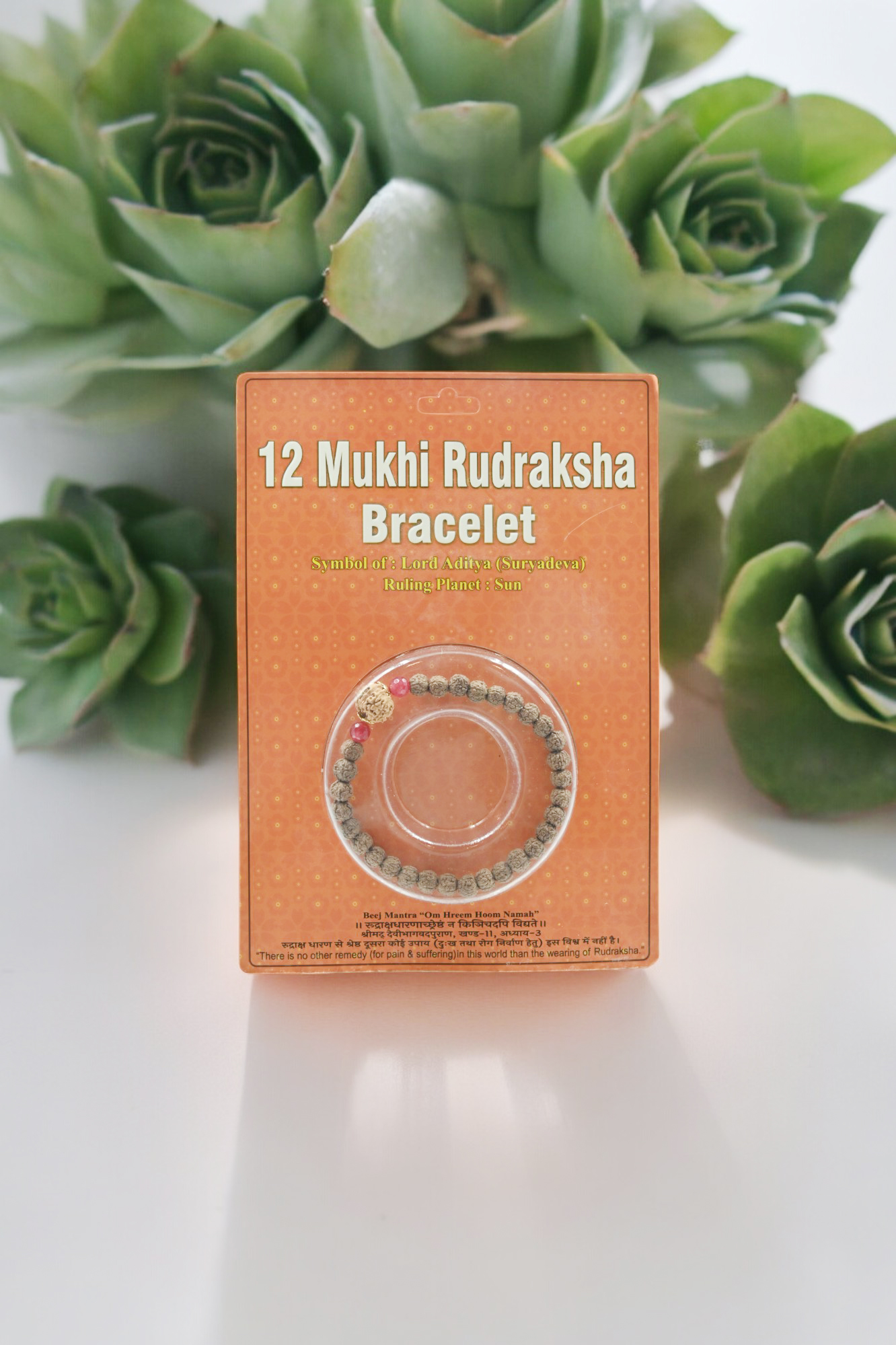 12 Mukhi Rudraksha Bracelet