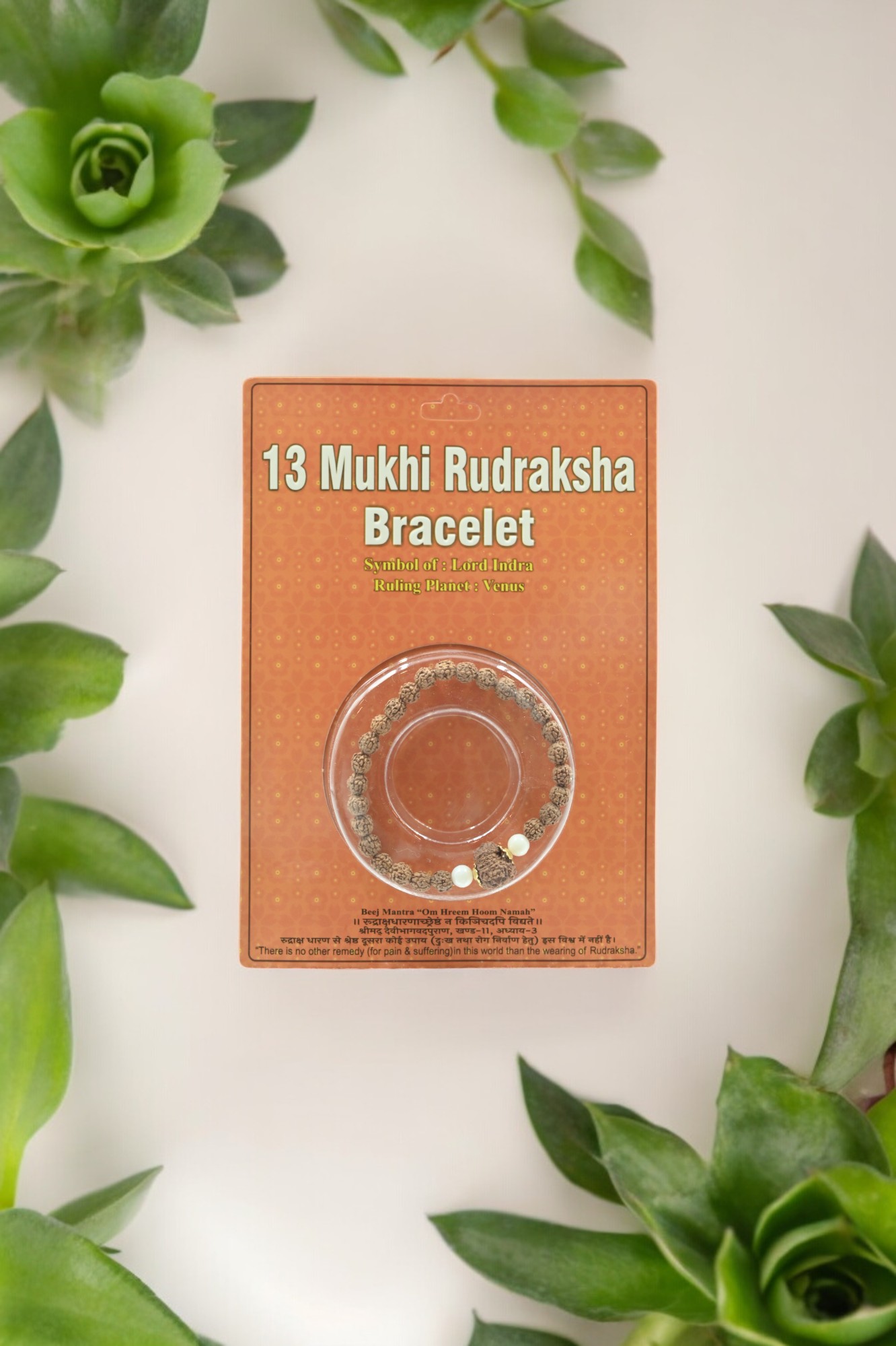 13 Mukhi Rudraksha bracelet