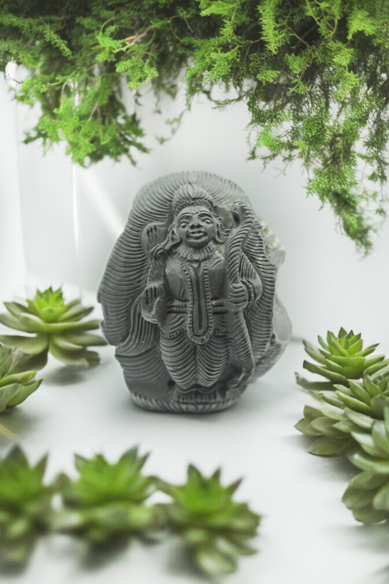 Ram ji on Shaligram