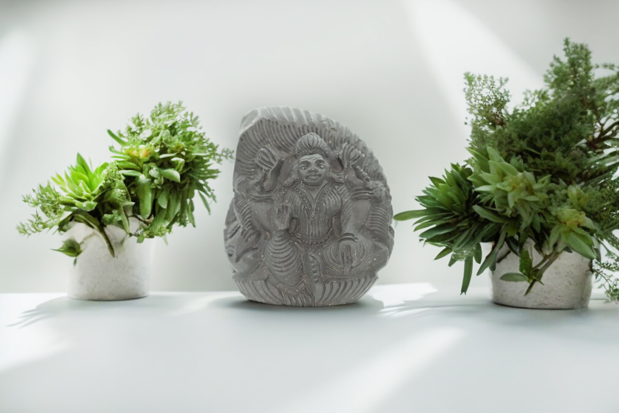 Lakshmi ji on Shaligram