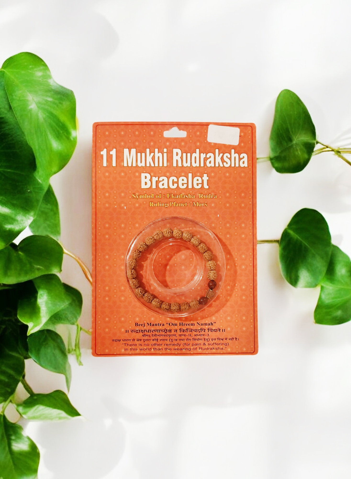 11 Mukhi Rudraksha Bracelet