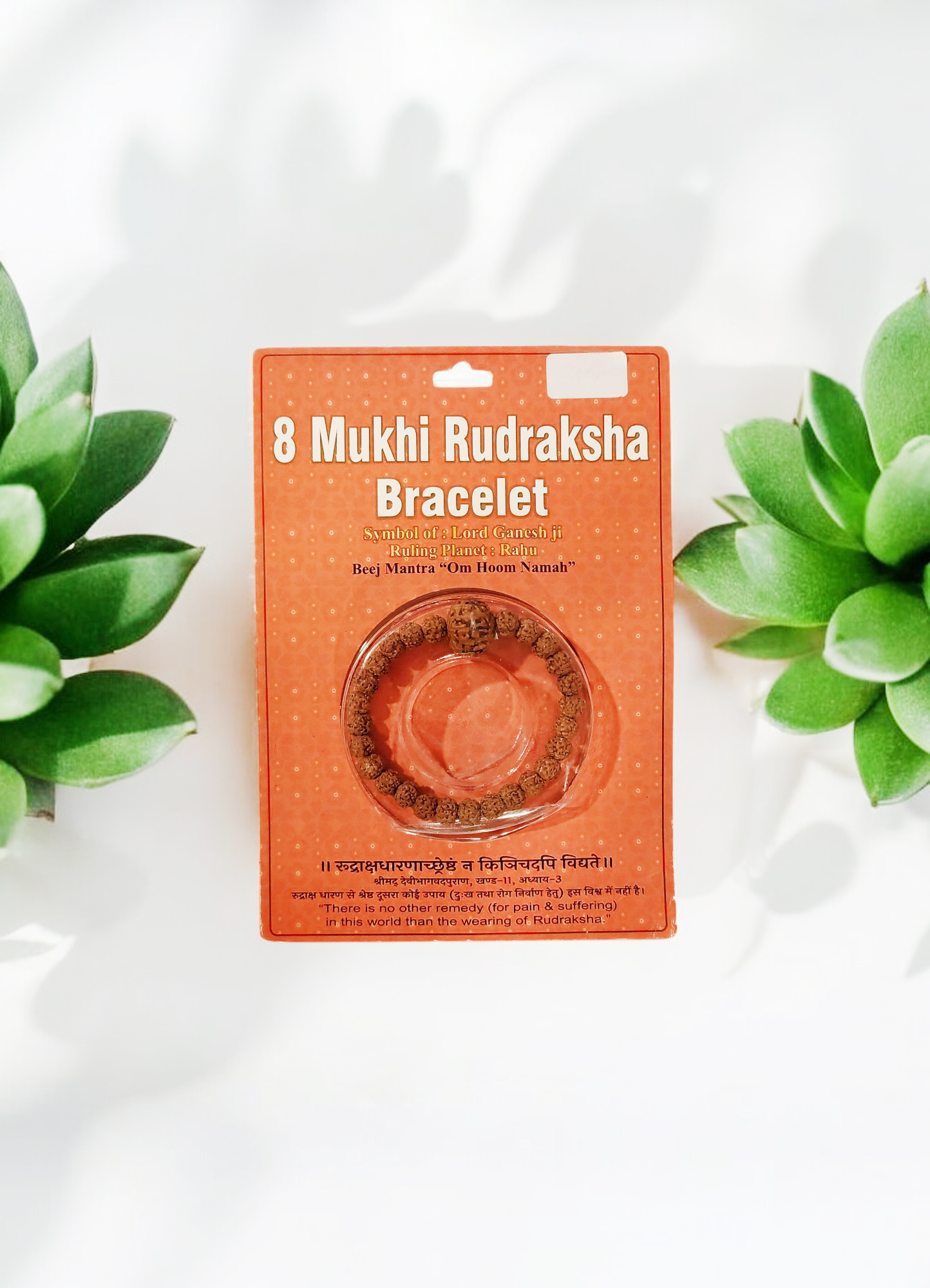 8 Mukhi Rudraksha Bracelet